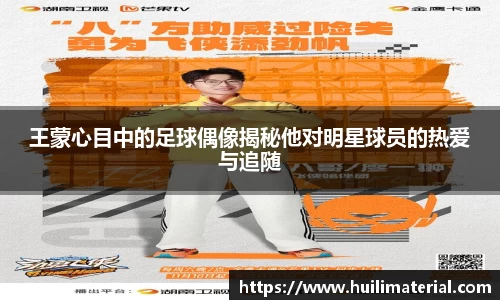 王蒙心目中的足球偶像揭秘他对明星球员的热爱与追随