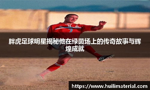 胖虎足球明星揭秘他在绿茵场上的传奇故事与辉煌成就